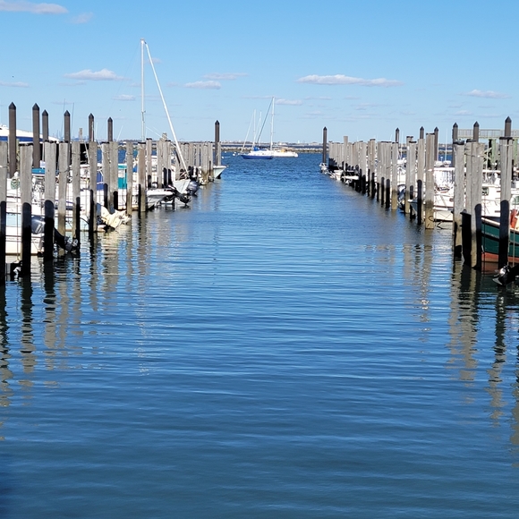 Meet your Posher, Stan - Picture 16 of 17